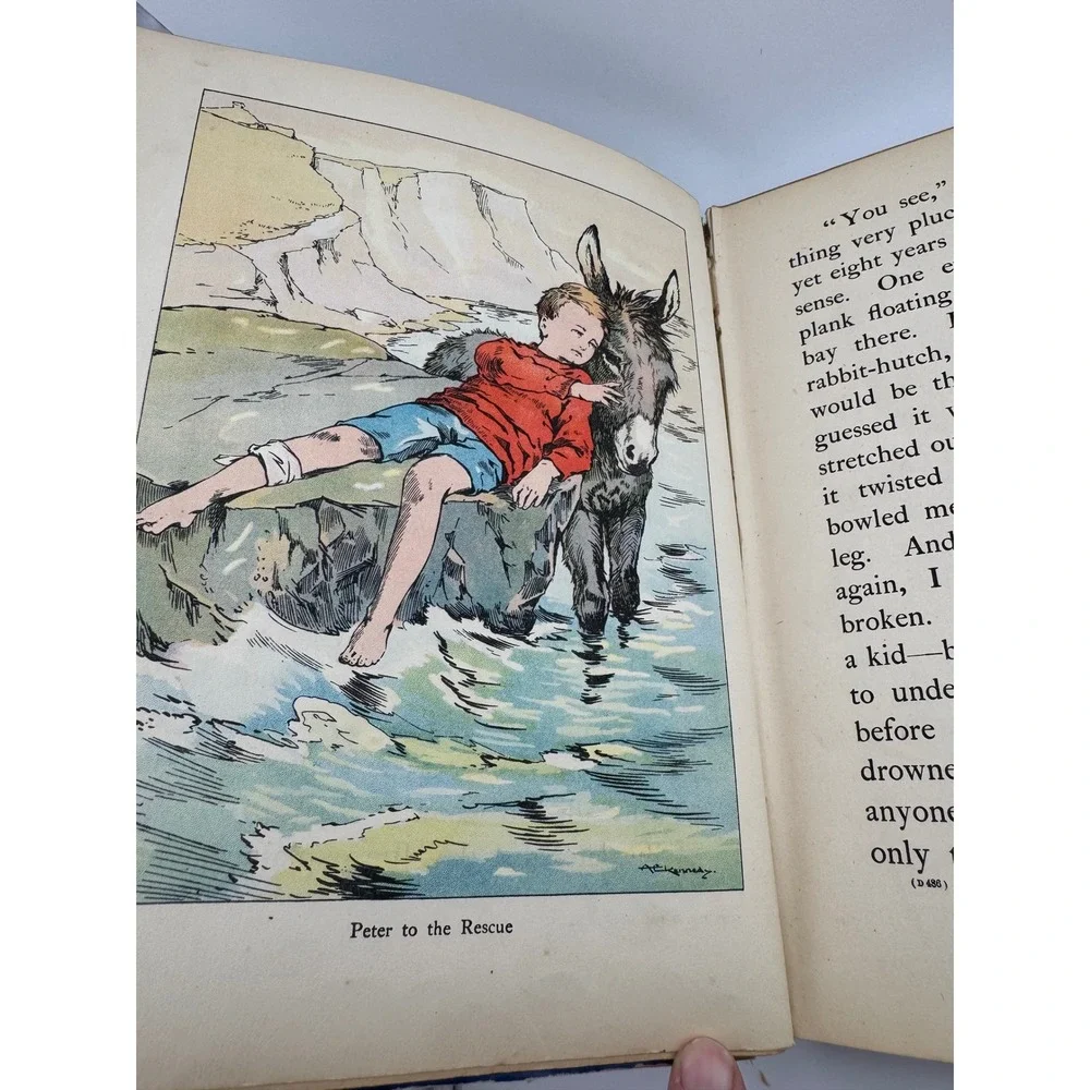 Antique Tales & Pictures and Happy Pets Blackie & Son Childrens Illustrated Book